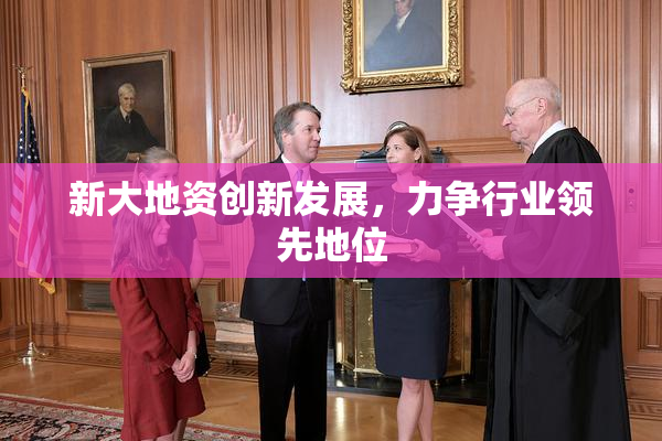 新大地资创新发展，力争行业领先地位