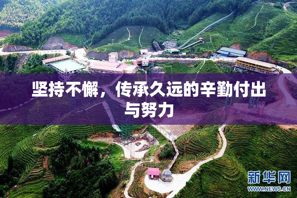 坚持不懈，传承久远的辛勤付出与努力