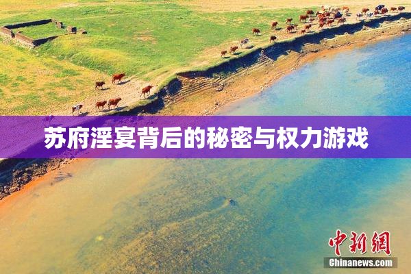 苏府淫宴背后的秘密与权力游戏