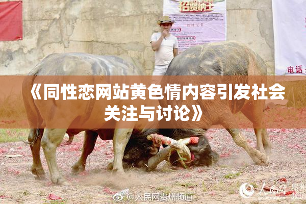 《同性恋网站黄色情内容引发社会关注与讨论》