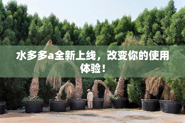 水多多a全新上线，改变你的使用体验！