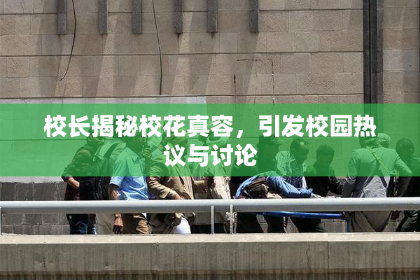 校长揭秘校花真容，引发校园热议与讨论