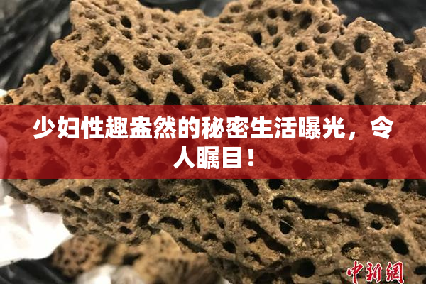 少妇性趣盎然的秘密生活曝光，令人瞩目！