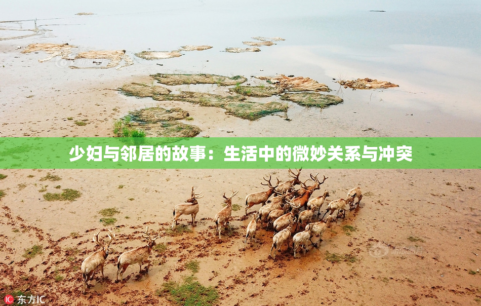 少妇与邻居的故事：生活中的微妙关系与冲突