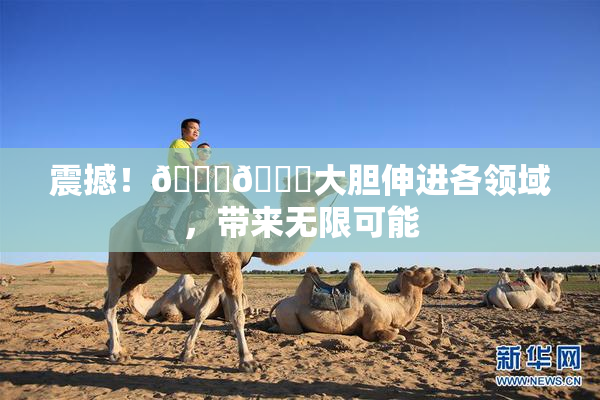 震撼！🐔🐔大胆伸进各领域，带来无限可能