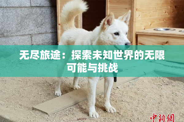 无尽旅途：探索未知世界的无限可能与挑战