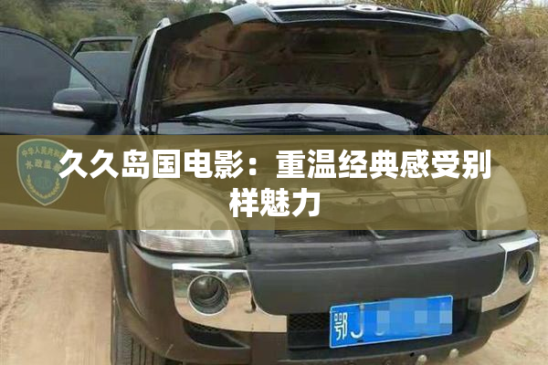 久久岛国电影：重温经典感受别样魅力