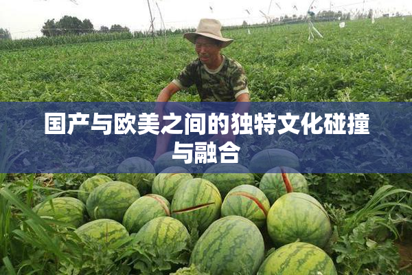 国产与欧美之间的独特文化碰撞与融合