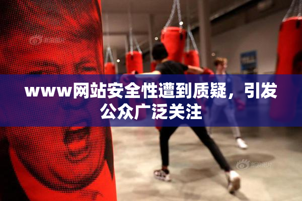 www网站安全性遭到质疑，引发公众广泛关注