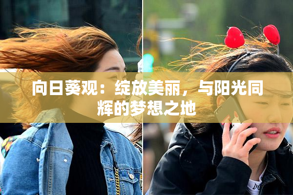 向日葵观：绽放美丽，与阳光同辉的梦想之地