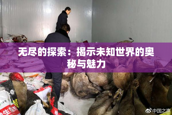 无尽的探索：揭示未知世界的奥秘与魅力