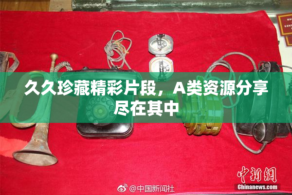 久久珍藏精彩片段，A类资源分享尽在其中