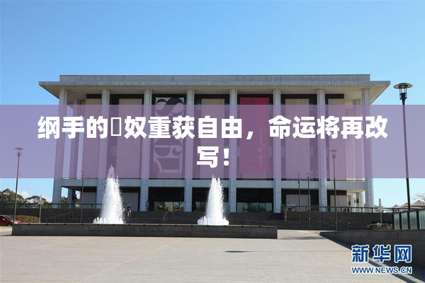 纲手的婬奴重获自由，命运将再改写！