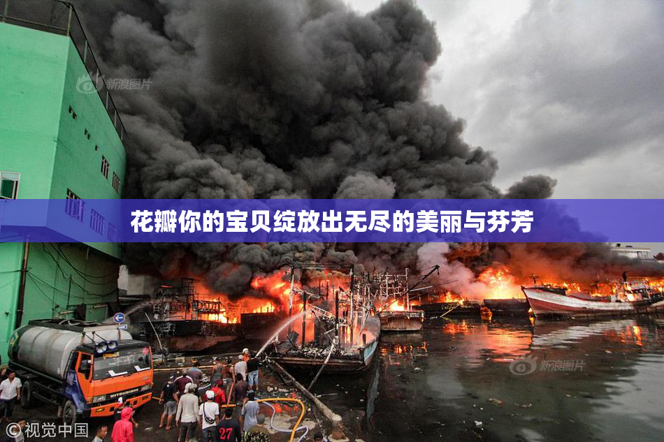 花瓣你的宝贝绽放出无尽的美丽与芬芳