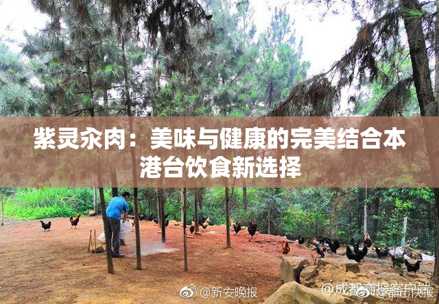 紫灵汆肉：美味与健康的完美结合本港台饮食新选择