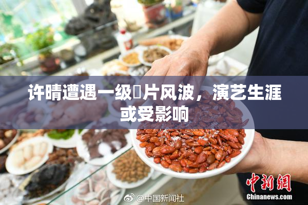 许晴遭遇一级婬片风波，演艺生涯或受影响