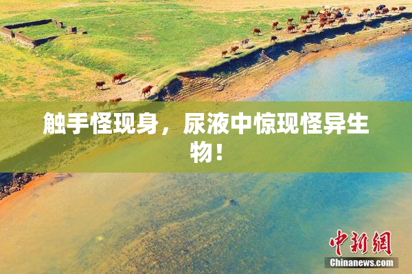 触手怪现身，尿液中惊现怪异生物！
