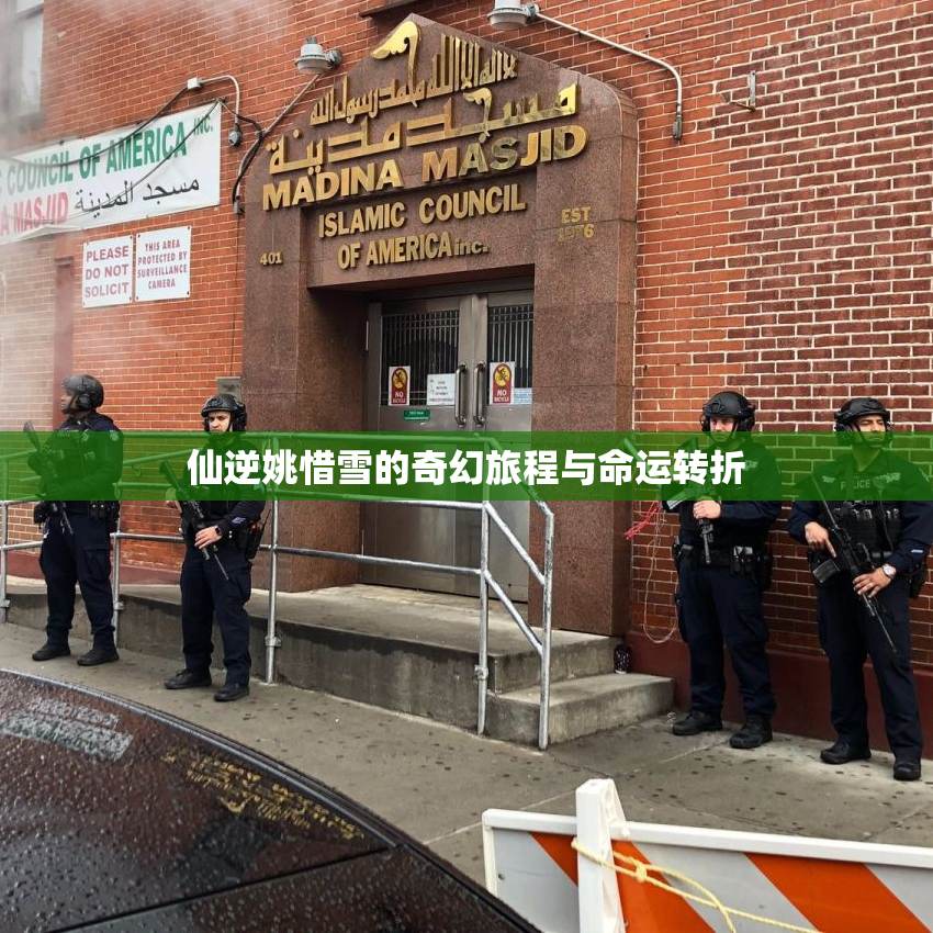 仙逆姚惜雪的奇幻旅程与命运转折