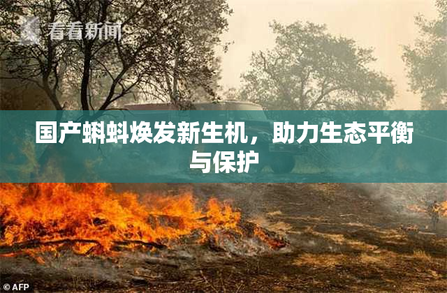 国产蝌蚪焕发新生机，助力生态平衡与保护