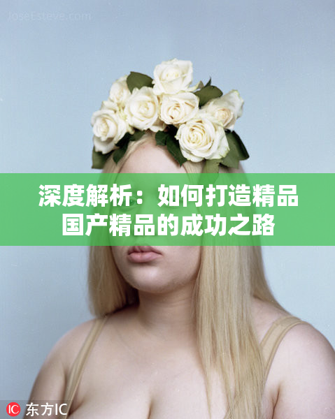 深度解析：如何打造精品国产精品的成功之路