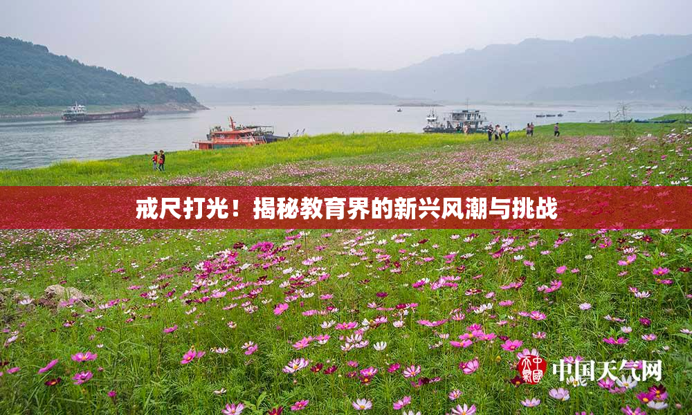 戒尺打光！揭秘教育界的新兴风潮与挑战