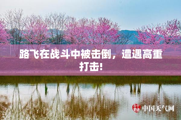 路飞在战斗中被击倒，遭遇高重打击!