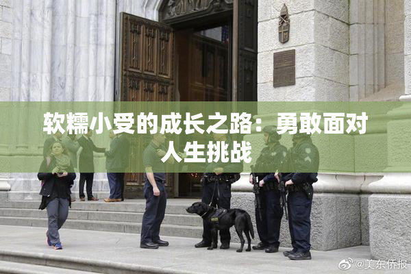 软糯小受的成长之路：勇敢面对人生挑战