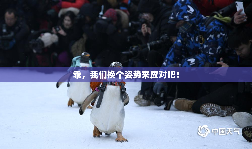 乖，我们换个姿势来应对吧！