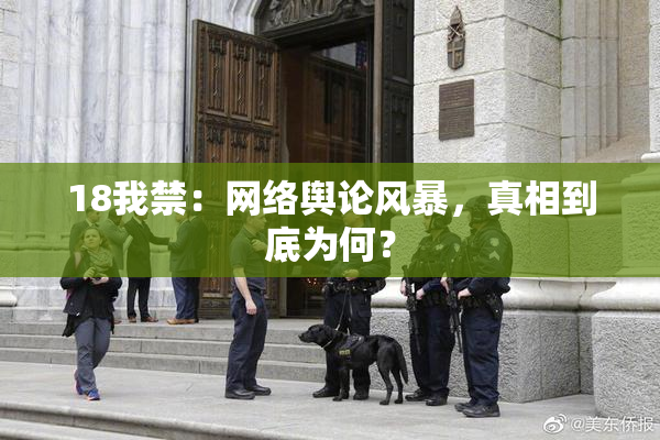 18我禁：网络舆论风暴，真相到底为何？