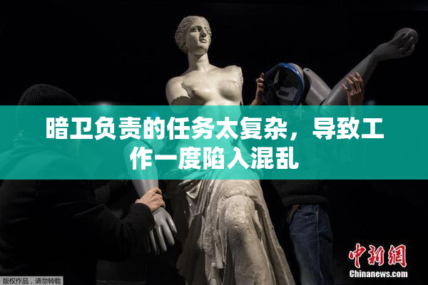 暗卫负责的任务太复杂，导致工作一度陷入混乱