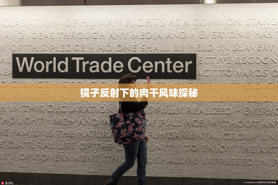 镜子反射下的肉干风味探秘