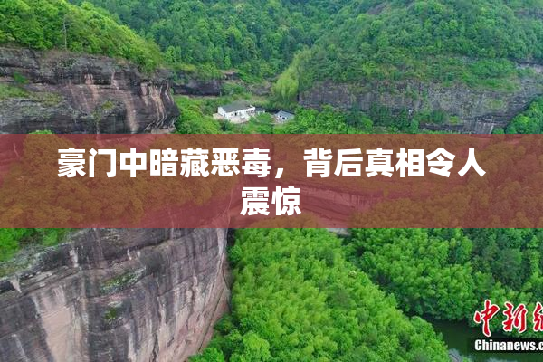 豪门中暗藏恶毒，背后真相令人震惊
