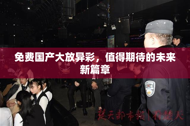免费国产大放异彩，值得期待的未来新篇章