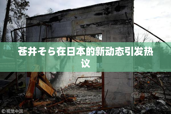 苍井そら在日本的新动态引发热议