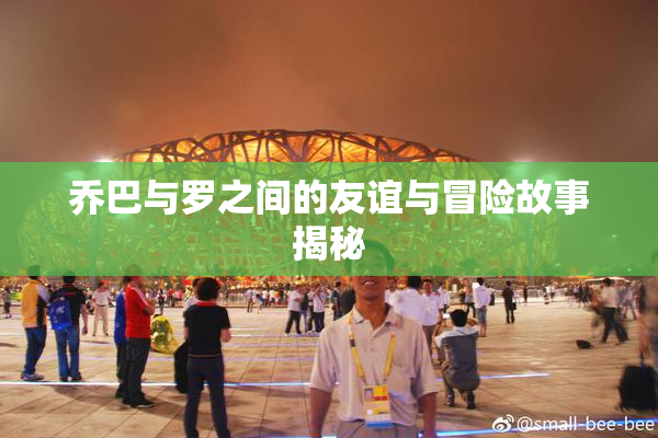 乔巴与罗之间的友谊与冒险故事揭秘