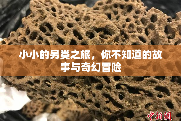 小小的另类之旅，你不知道的故事与奇幻冒险