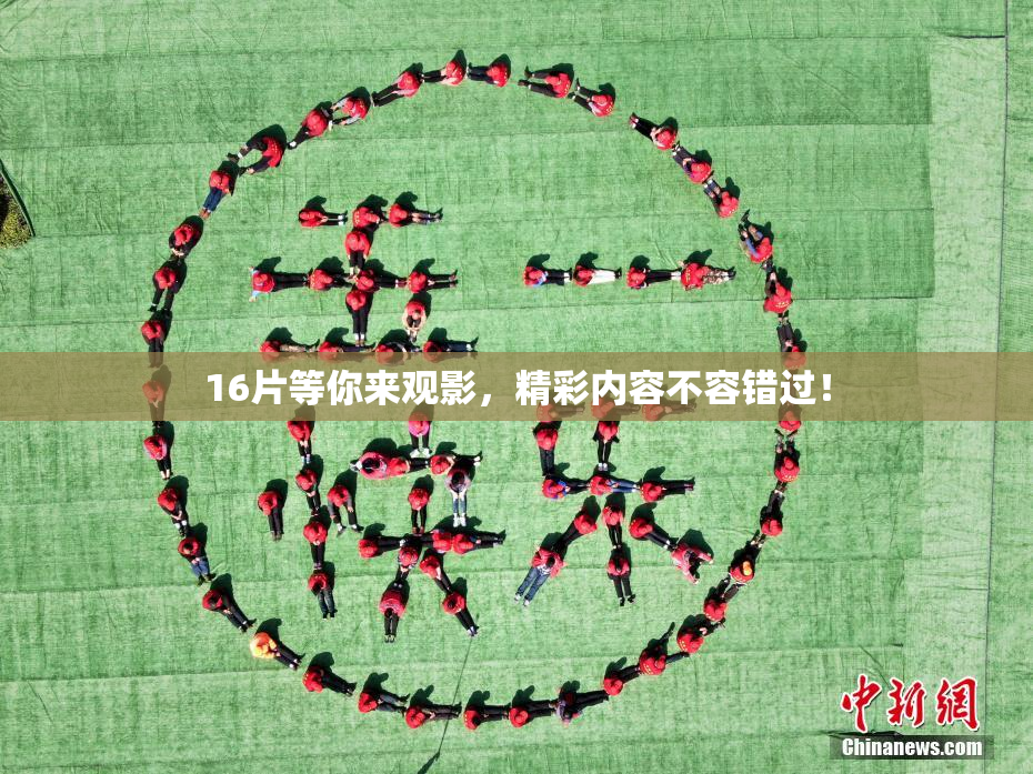 16片等你来观影，精彩内容不容错过！