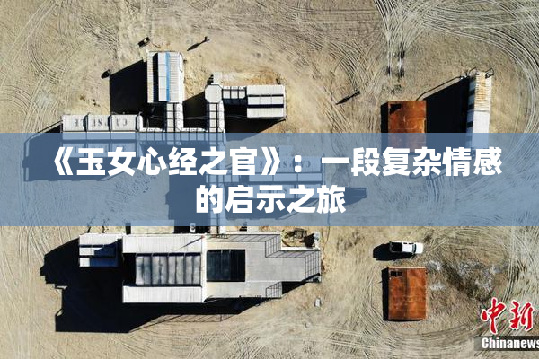 《玉女心经之官》：一段复杂情感的启示之旅