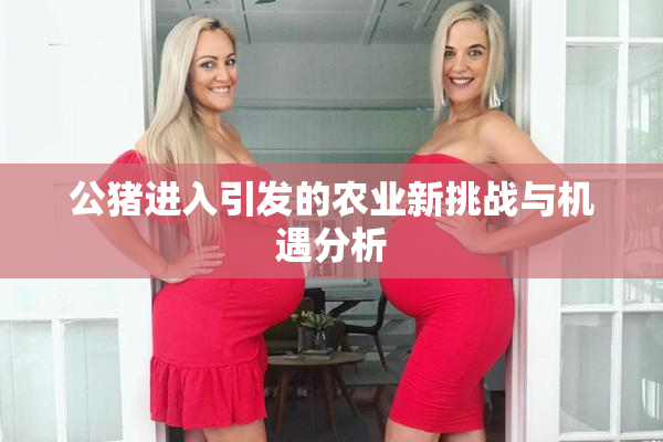 公猪进入引发的农业新挑战与机遇分析
