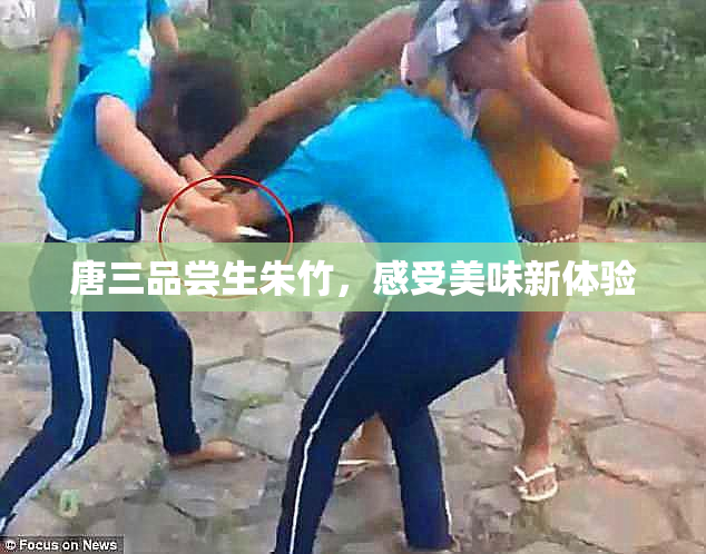 唐三品尝生朱竹，感受美味新体验