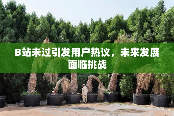 B站未过引发用户热议，未来发展面临挑战