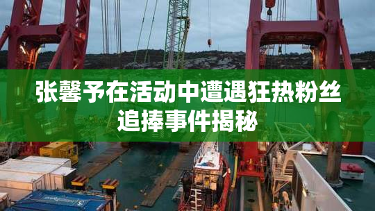 张馨予在活动中遭遇狂热粉丝追捧事件揭秘