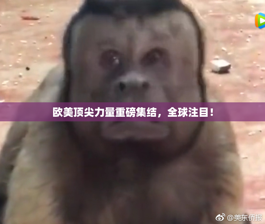 欧美顶尖力量重磅集结，全球注目！