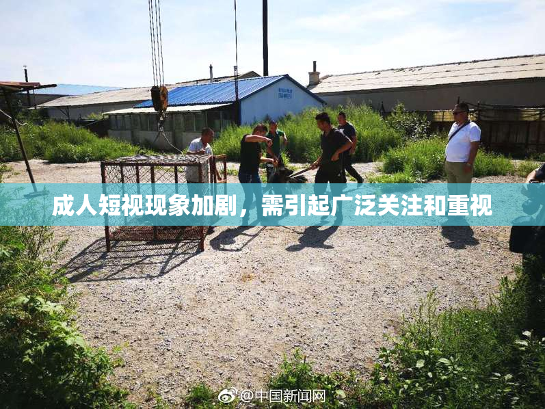 成人短视现象加剧，需引起广泛关注和重视