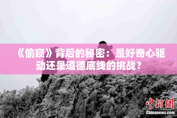《偷窥》背后的秘密：是好奇心驱动还是道德底线的挑战？