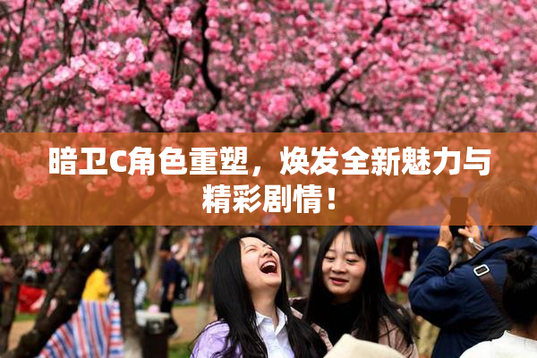 暗卫C角色重塑，焕发全新魅力与精彩剧情！