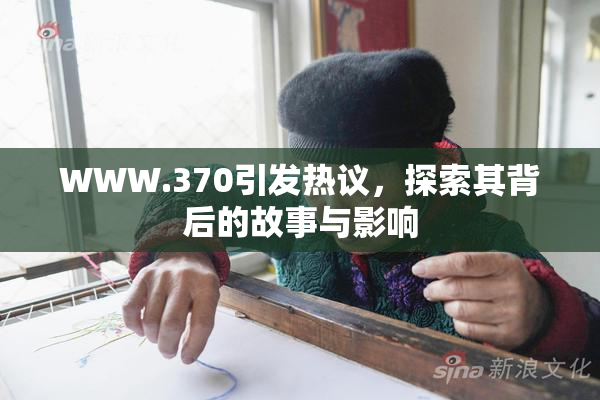 WWW.370引发热议，探索其背后的故事与影响