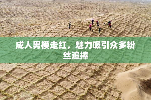 成人男模走红，魅力吸引众多粉丝追捧