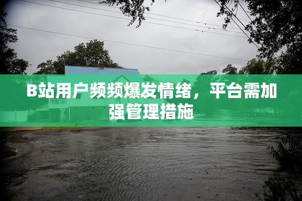 B站用户频频爆发情绪，平台需加强管理措施