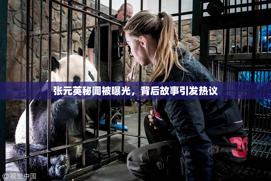 张元英秘闻被曝光，背后故事引发热议